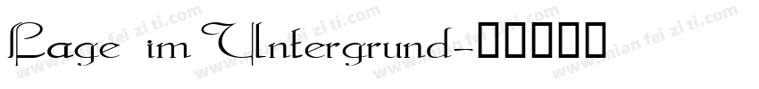 Lage im Untergrund字体转换